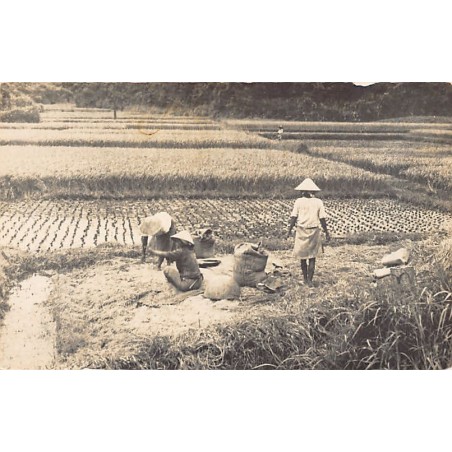 Rare collectable postcards of Japan. Vintage Postcards of Japan