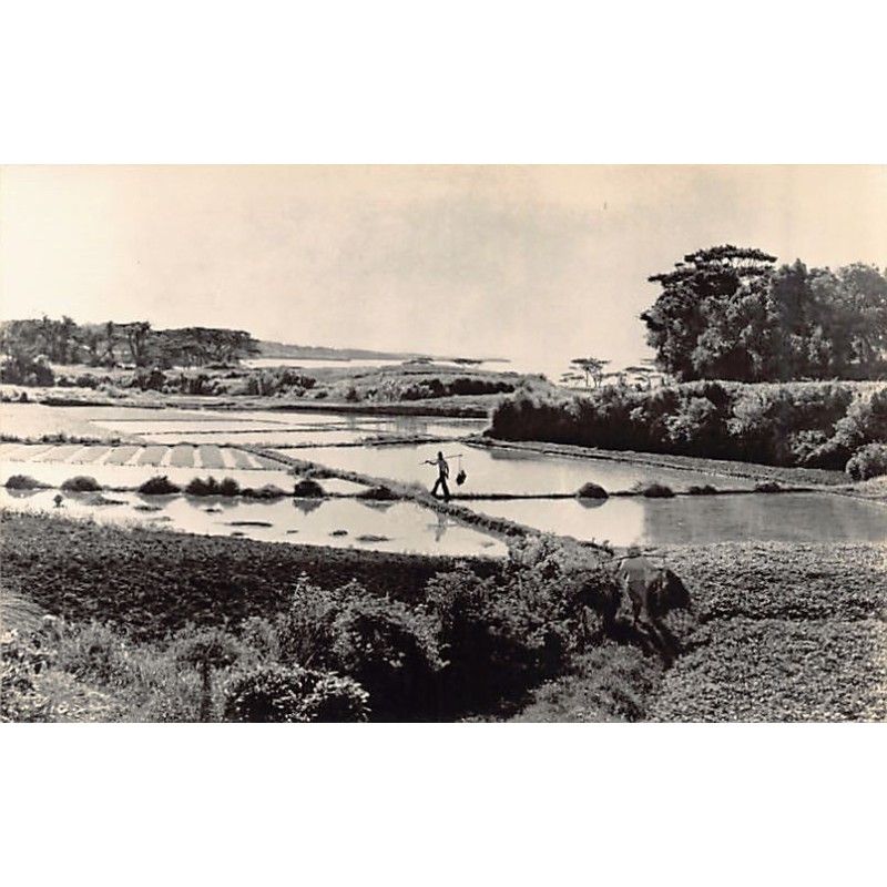 Rare collectable postcards of Japan. Vintage Postcards of Japan