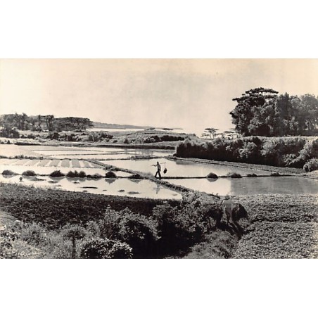 Rare collectable postcards of Japan. Vintage Postcards of Japan