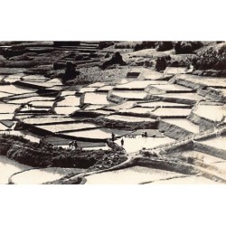 Rare collectable postcards of Japan. Vintage Postcards of Japan