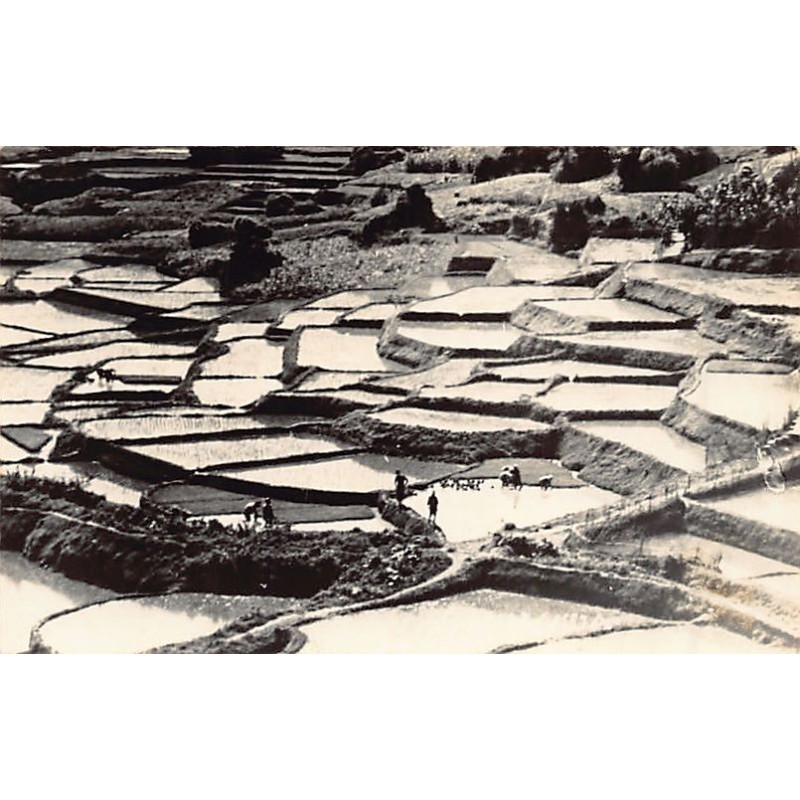 Rare collectable postcards of Japan. Vintage Postcards of Japan