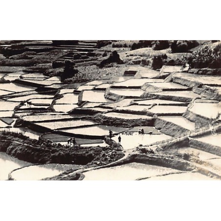 Rare collectable postcards of Japan. Vintage Postcards of Japan