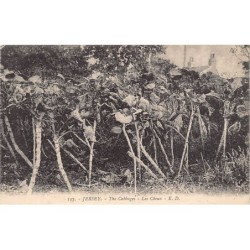 Rare collectable postcards of United Kingdom - Jersey. Vintage Postcards of United Kingdom - Jersey