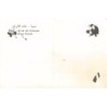 Rare collectable postcards of Lebanon. Vintage Postcards of Lebanon