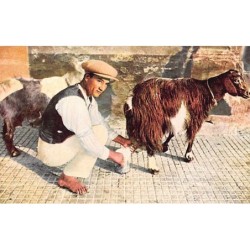 Rare collectable postcards of Malta. Vintage Postcards of Malta