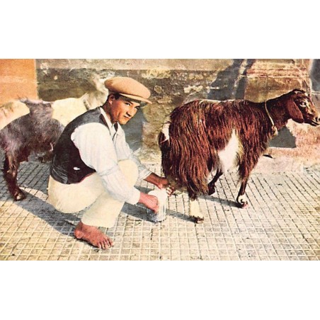 Rare collectable postcards of Malta. Vintage Postcards of Malta