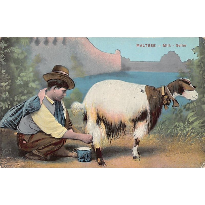 Rare collectable postcards of Malta. Vintage Postcards of Malta