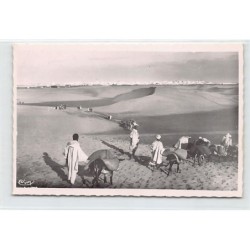 Rare collectable postcards of Morocco. Vintage Postcards of Morocco