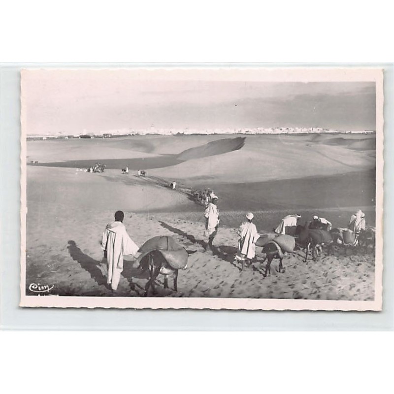 Rare collectable postcards of Morocco. Vintage Postcards of Morocco