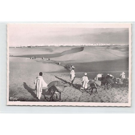 Rare collectable postcards of Morocco. Vintage Postcards of Morocco