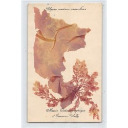 Rare collectable postcards of Monaco. Vintage Postcards of Monaco