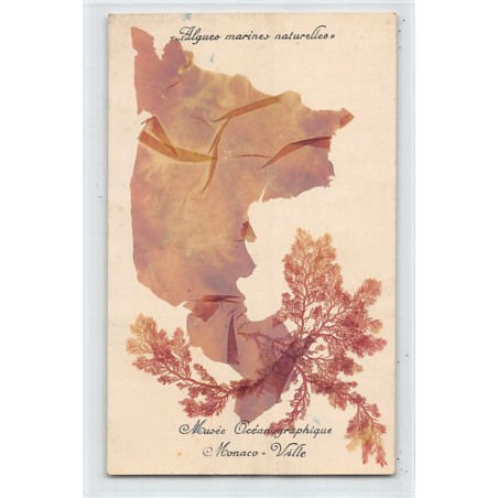 Rare collectable postcards of Monaco. Vintage Postcards of Monaco