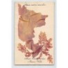 Rare collectable postcards of Monaco. Vintage Postcards of Monaco