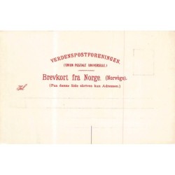 Rare collectable postcards of Norway. Vintage Postcards of Norway