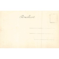 Rare collectable postcards of Norway. Vintage Postcards of Norway