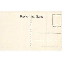 Rare collectable postcards of Norway. Vintage Postcards of Norway