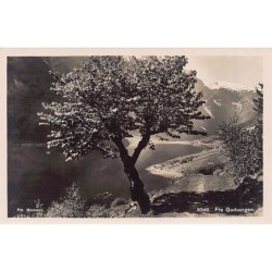 Rare collectable postcards of Norway. Vintage Postcards of Norway