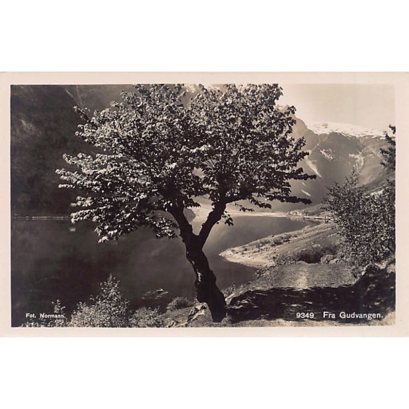 Rare collectable postcards of Norway. Vintage Postcards of Norway