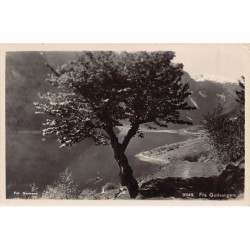 Rare collectable postcards of Norway. Vintage Postcards of Norway