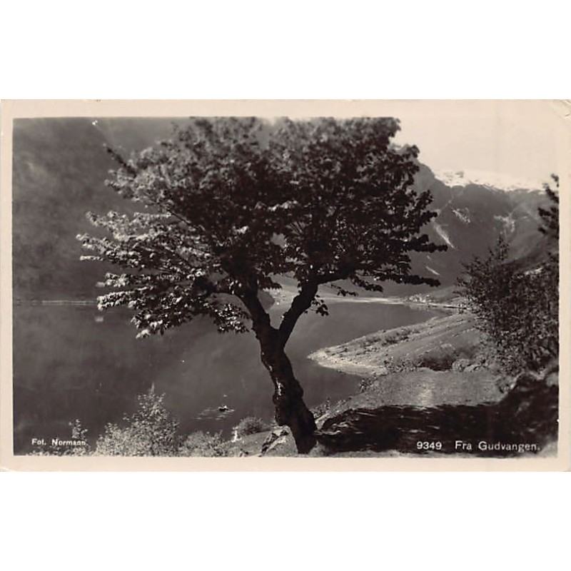 Rare collectable postcards of Norway. Vintage Postcards of Norway