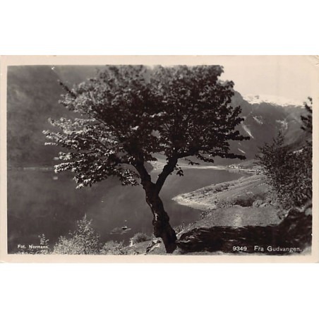 Rare collectable postcards of Norway. Vintage Postcards of Norway