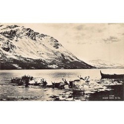 Rare collectable postcards of Norway. Vintage Postcards of Norway