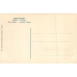 Rare collectable postcards of Norway. Vintage Postcards of Norway