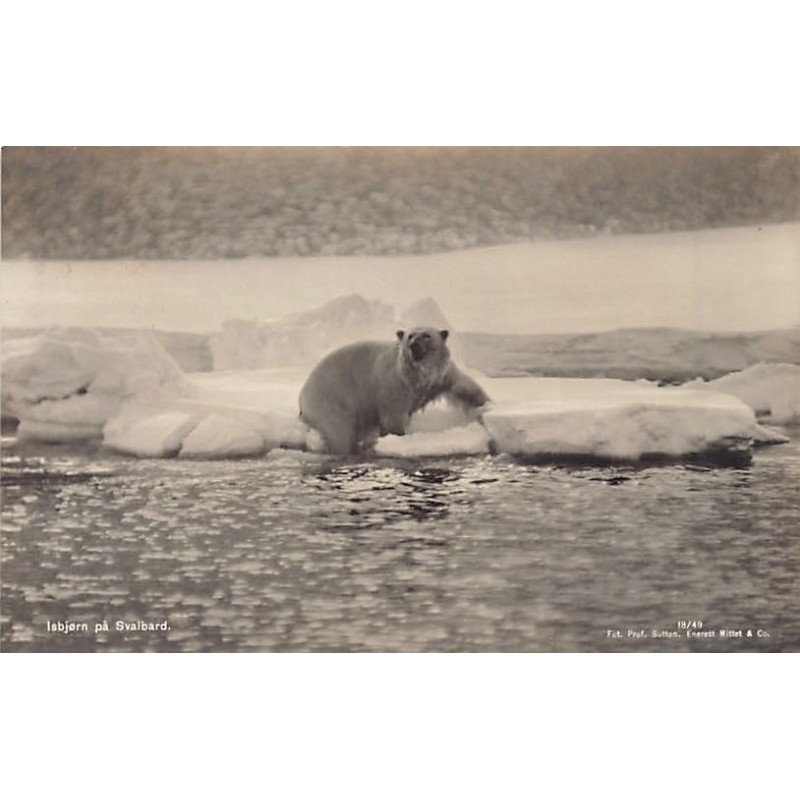 Rare collectable postcards of Norway. Vintage Postcards of Norway