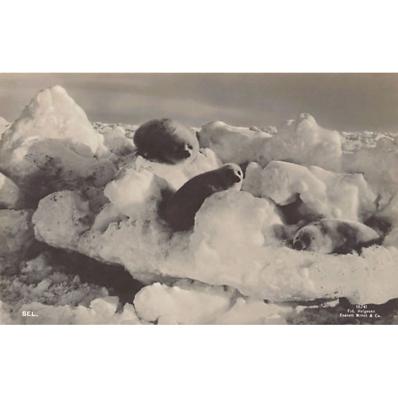 Rare collectable postcards of Norway. Vintage Postcards of Norway