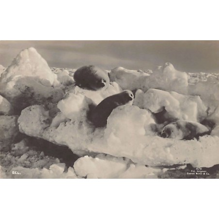 Rare collectable postcards of Norway. Vintage Postcards of Norway