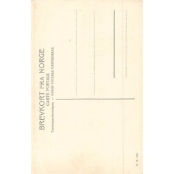 Rare collectable postcards of Norway. Vintage Postcards of Norway