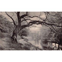 Rare collectable postcards of Ireland. Vintage Postcards of Ireland