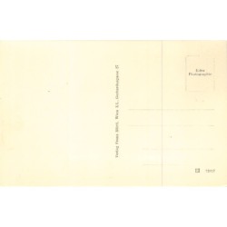 Rare collectable postcards of Austria. Vintage Postcards of Austria