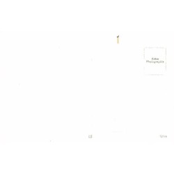 Rare collectable postcards of Austria. Vintage Postcards of Austria