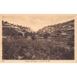 Rare collectable postcards of Israel / Palestine. Vintage Postcards of Israel / Palestine