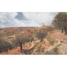 Rare collectable postcards of Israel / Palestine. Vintage Postcards of Israel / Palestine