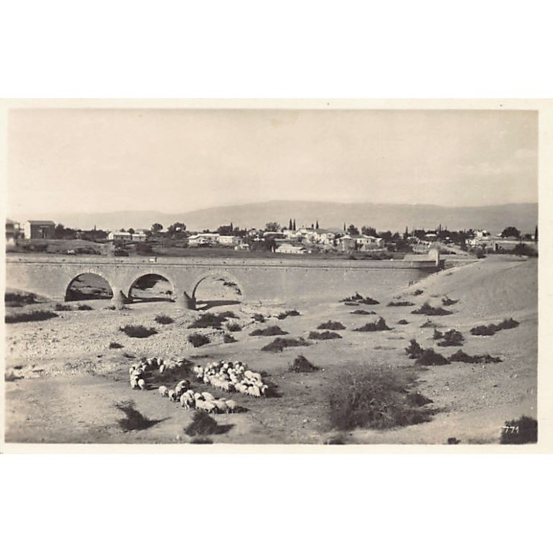 Rare collectable postcards of Israel / Palestine. Vintage Postcards of Israel / Palestine