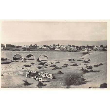 Rare collectable postcards of Israel / Palestine. Vintage Postcards of Israel / Palestine