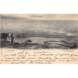 Rare collectable postcards of Israel / Palestine. Vintage Postcards of Israel / Palestine