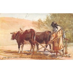 Rare collectable postcards of Israel / Palestine. Vintage Postcards of Israel / Palestine