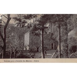 Rare collectable postcards of Portugal. Vintage Postcards of Portugal