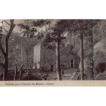 Rare collectable postcards of Portugal. Vintage Postcards of Portugal