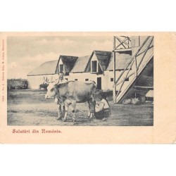 Rare collectable postcards of Romania. Vintage Postcards of Romania