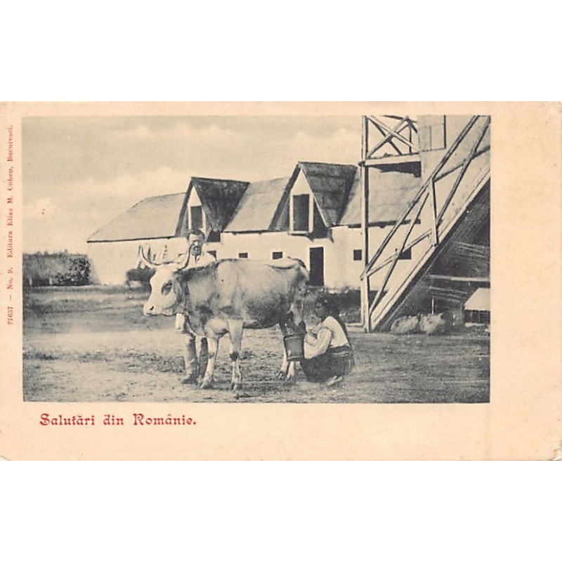 Rare collectable postcards of Romania. Vintage Postcards of Romania
