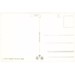 Rare collectable postcards of Switzerland. Vintage Postcards of Switzerland