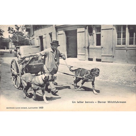 Rare collectable postcards of Switzerland. Vintage Postcards of Switzerland