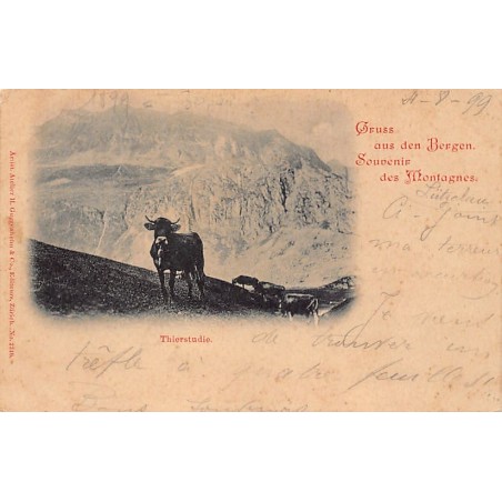 Rare collectable postcards of Switzerland. Vintage Postcards of Switzerland