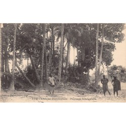 Rare collectable postcards of Senegal. Vintage Postcards of Senegal