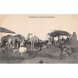 Rare collectable postcards of Senegal. Vintage Postcards of Senegal