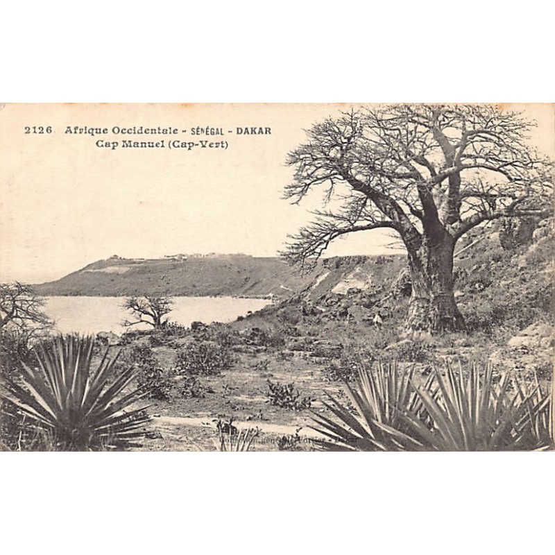 Rare collectable postcards of Senegal. Vintage Postcards of Senegal